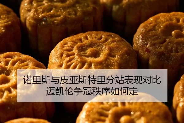 诺里斯与皮亚斯特里分站表现对比 迈凯伦争冠秩序如何定 - huatihui